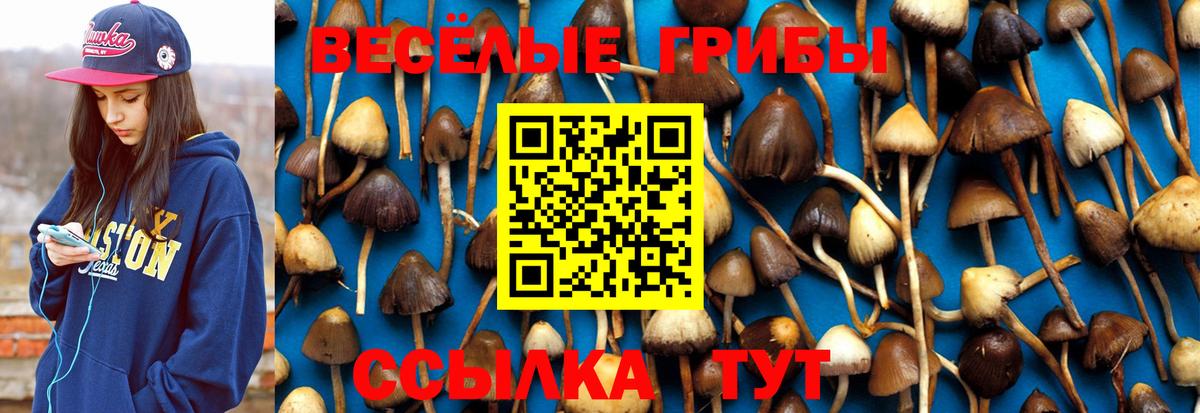Галлюциногенные грибы Cubensis  Вход с VPN  Истра 