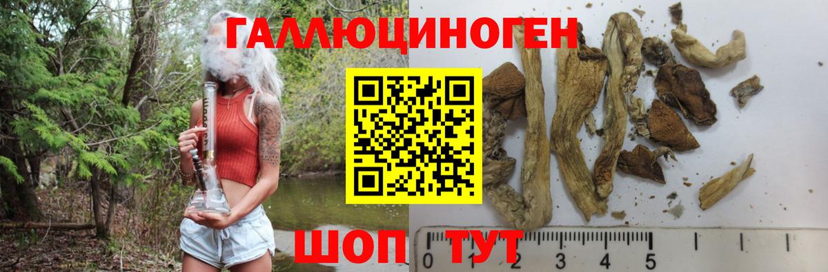 Галлюциногенные грибы Psilocybine cubensis Истра