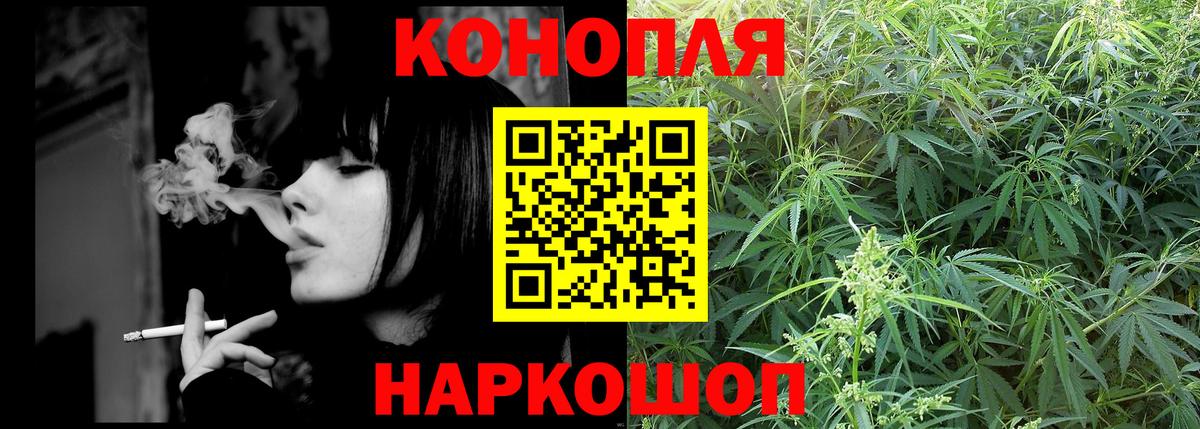 Шишки марихуана OG Kush Истра